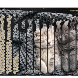 Skarbonka na 5 zł Kotki | Skarbonka z kotkami na prezent