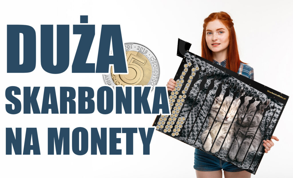 duża skarbonka na 5 zł