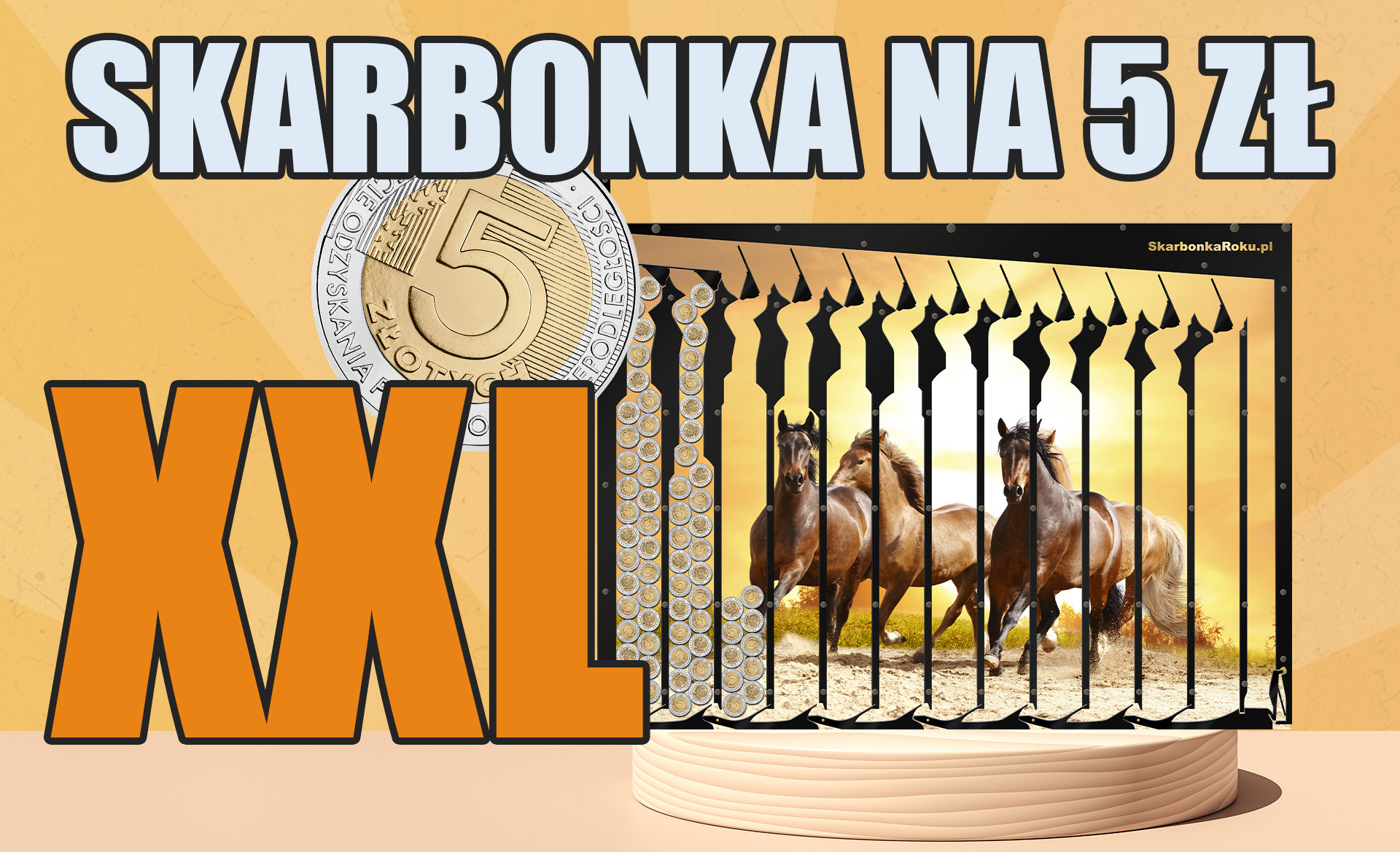 duża skarbonka na 5 zł